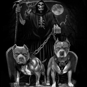 Meet your Posher, Ty